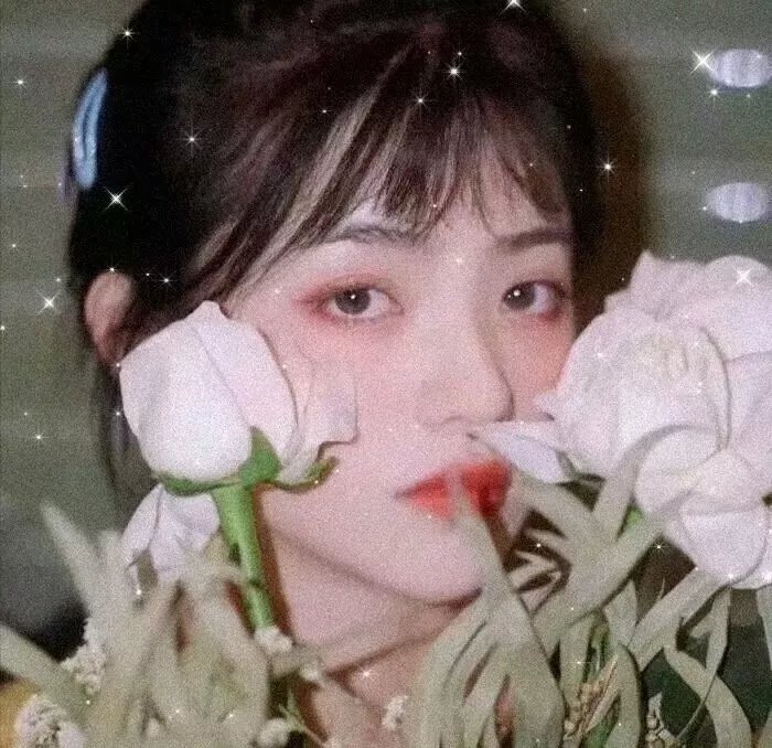 狐狸捕手