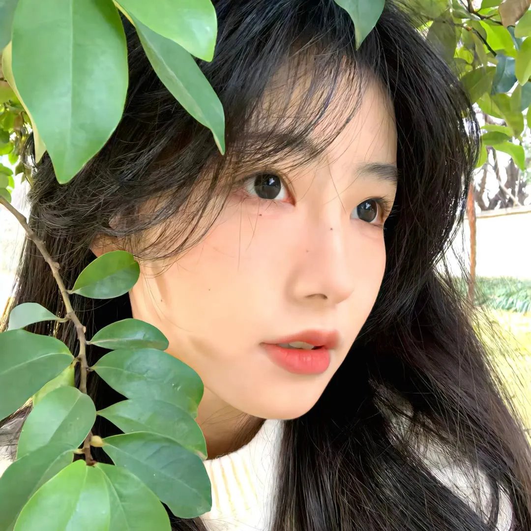 珍与艾玛